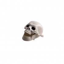 JOUET TÊTE DE MORT ARTICULÉE