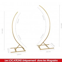 LOCATION ARCHE DÉCORATIVE MÉTAL - 2 ARCS