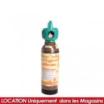LOCATION BOUTEILLE HELIUM X10