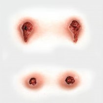 MAQUILLAGE TRANSFERT TATOUAGE 3D MORSURES VAMPIRE