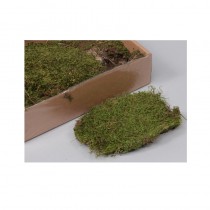 MOUSSE VERTE NATURELLE 150 G
