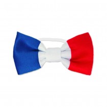 NŒUD PAPILLON COCORICO FRANCE SUPPORTER ADULTE