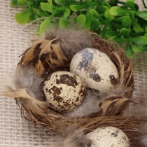 NID OISEAU AVEC 2 ŒUFS CAILLE MOUCHETÉS 7CM NATURE