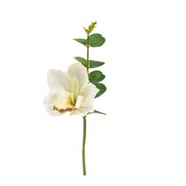 ORCHIDÉE BLANC BRANCHE D\'EUCALYPTUS 32CM