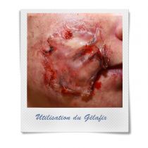 PAIN DE GÉLATINE GELAFIX 60 G