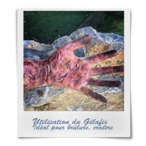 PAIN DE GÉLATINE GELAFIX 60 G