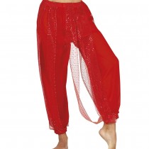 PANTALON DANSE DU VENTRE ORIENTALE BOLLYWOOD FEMME