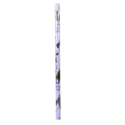 PAPIER CADEAU LA REINE DES NEIGES 70X200CM