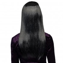 PERRUQUE CHEVEUX LONGS NOIRS MÈCHES BLANCHES FEMME