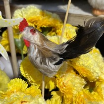 PIQUE COQ AVEC PLUMES 11CM