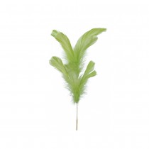 PIQUE PLUME VOLAILLE DÉCORATIF 50CM VERT