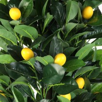 PLANTE ARTIFICIELLE CITRONNIER 120CM