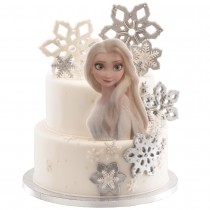 PLAQUE AZYME FROZEN 15X21CM