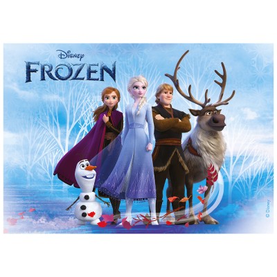 Carte Disney Joyeux anniversaire Reine des neiges-Elsa et Olaf. Réf. 95