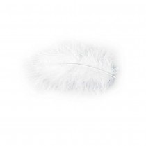 POCHETTE PLUMES 10G 5-10CM BLANCHE