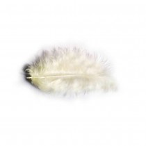 POCHETTE PLUMES 10G 5-10CM CRÈME