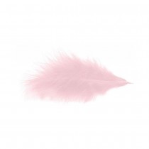 POCHETTE PLUMES 10G 5-10CM ROSE PASTEL