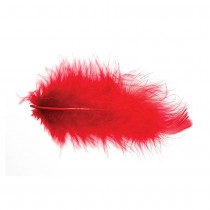 POCHETTE PLUMES 10G 5-10CM ROUGE