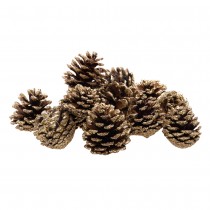 POMMES DE PIN NATURELLES 4CM 100G OR PAILLETÉ