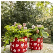 POT CIMENT CYLINDRE CUR ROSE 11X9CM ROUGE