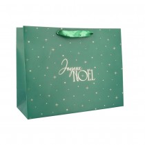 SAC CADEAU CARTON JOYEUX NOËL 26X33X13.5CM VERT