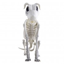 SQUELETTE CHIEN ASSIS DÉCORATIF 30X43CM BLANC