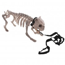 SQUELETTE DE CHIEN 43X15X21CM