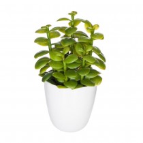 SUCCULENT OU CACTUS ARTIFICIEL 18CM VERT