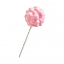 SUCETTE HALLOWEEN CERVELLE