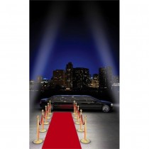 TAPIS ROUGE ALLÉE ENTRÉE VIP 1MX5M