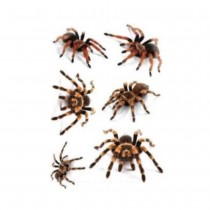 TATOUAGES ÉPHÉMÈRES ARAIGNÉE HORREUR