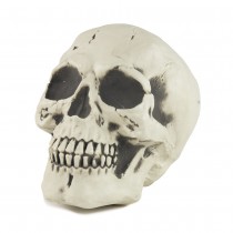 TÊTE DE SQUELETTE 21CM
