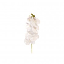 TIGE 7 FLEURS ORCHIDÉ ARTIFICIELLE 75CM BLANC