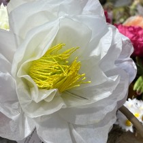 TIGE FLEUR ARTIFICIELLE PAPIER 65CM BLANC