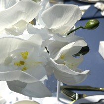 TIGE FLEUR ORCHIDÉE ARTIFICIELLE 108CM