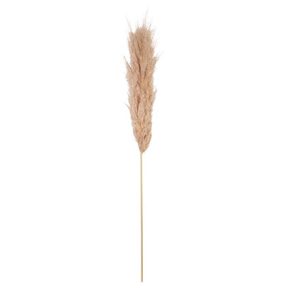TIGE HERBE DE PAMPA NATURELLE GARNIE 1.15-1.2M