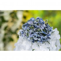 TIGE HORTENSIA ARTIFICIEL BOURGEONS 35CM BLEU