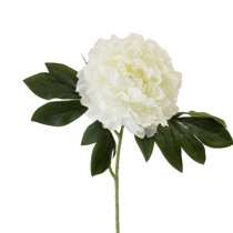 TIGE PIVOINE ARTIFICIELLE 80CM BLANC