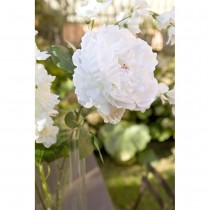 TIGE PIVOINE ARTIFICIELLE 80CM BLANC