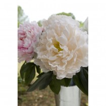 TIGE PIVOINE ARTIFICIELLE 80CM CRÈME